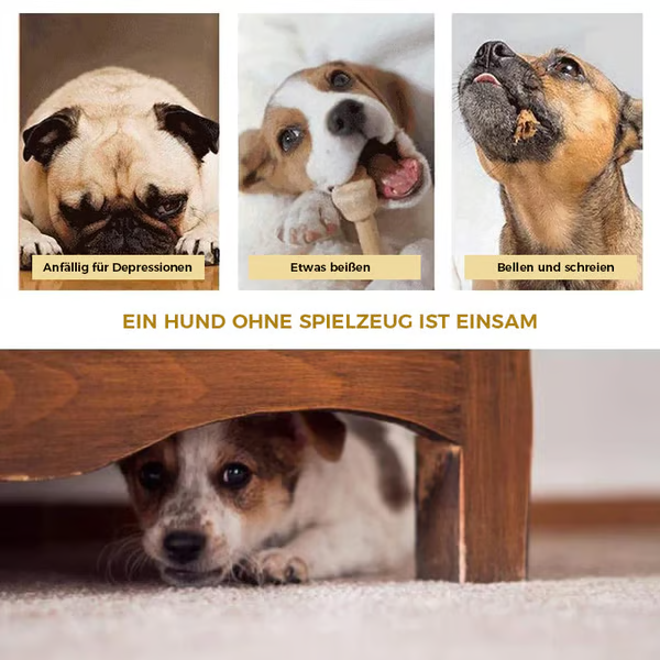 ð¥ð¥Multifunction Pet Molar Bite Toy
