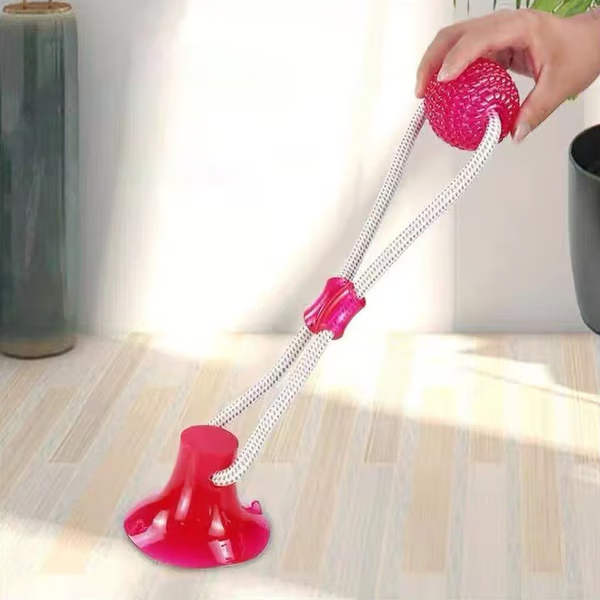 ð¥ð¥Multifunction Pet Molar Bite Toy