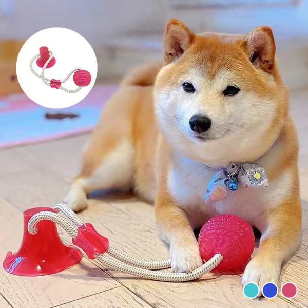 ð¥ð¥Multifunction Pet Molar Bite Toy