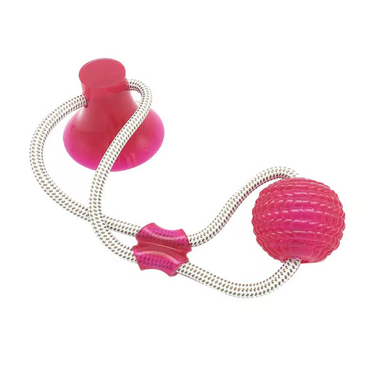 🔥🔥Multifunction Pet Molar Bite Toy
