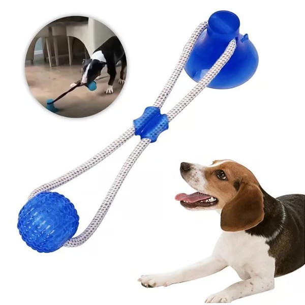 ð¥ð¥Multifunction Pet Molar Bite Toy