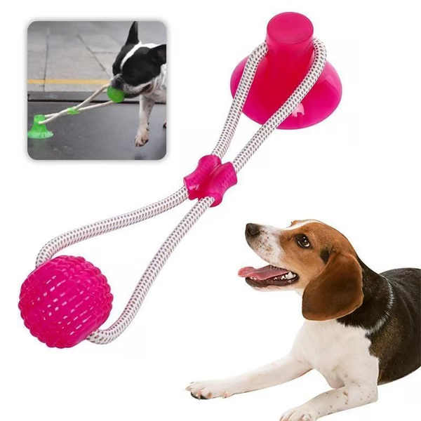 ð¥ð¥Multifunction Pet Molar Bite Toy