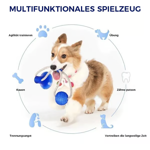 ð¥ð¥Multifunction Pet Molar Bite Toy