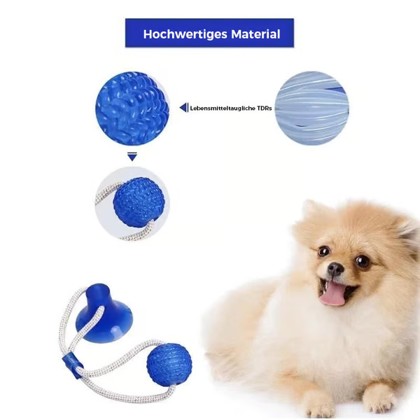 ð¥ð¥Multifunction Pet Molar Bite Toy