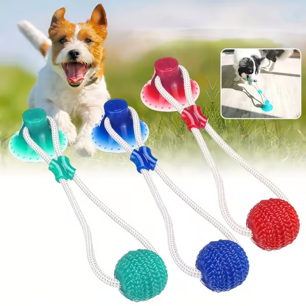 ð¥ð¥Multifunction Pet Molar Bite Toy